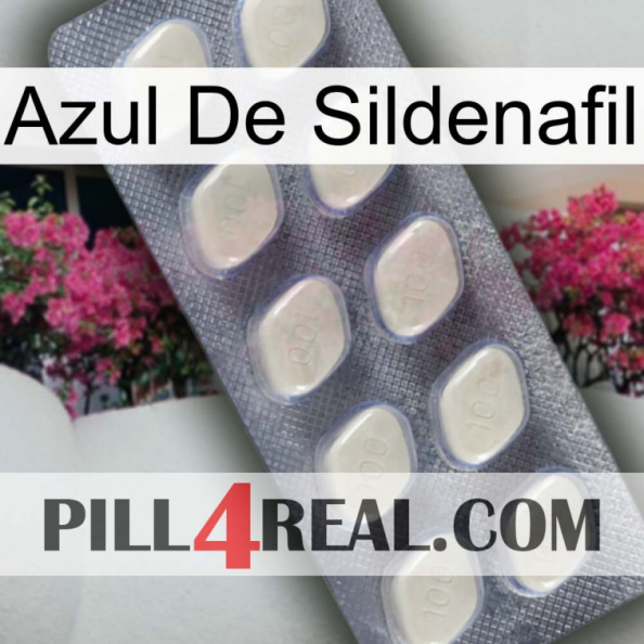 Sildenafil Blue 08.jpg